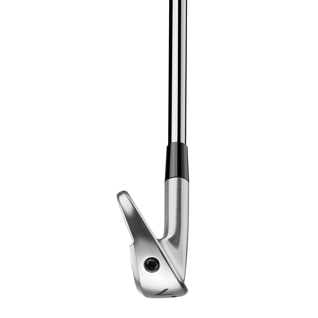 TaylorMade P770 Irons