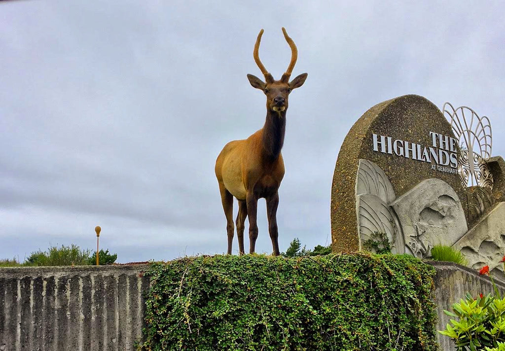 Highlands "Ser Eldrick the Pin Slayer" High Crown Tour Visor - White (Made in the USA)