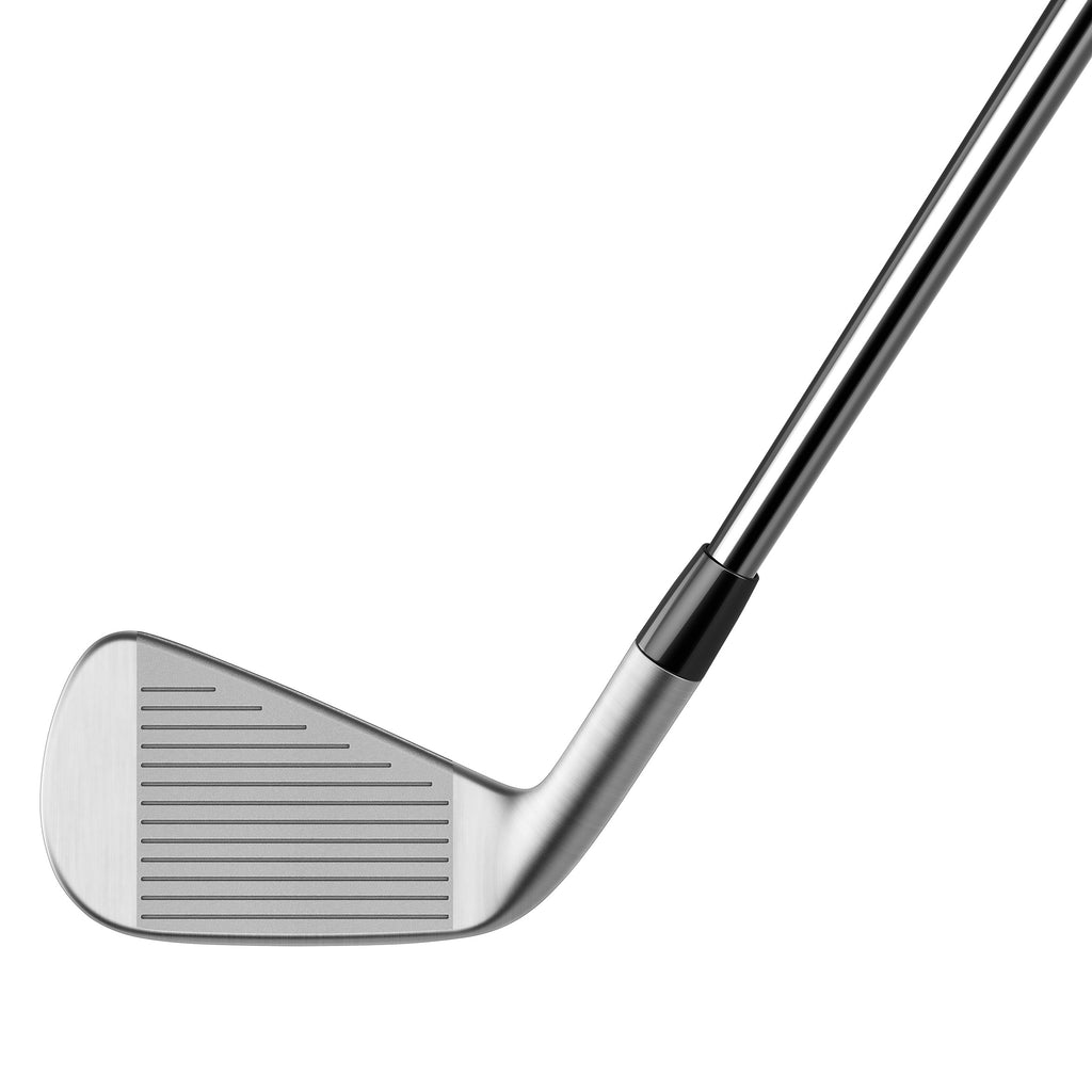 TaylorMade P790 Irons