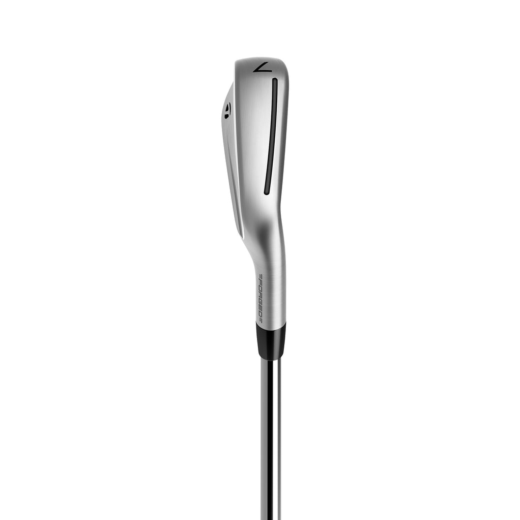 TaylorMade P790 Irons