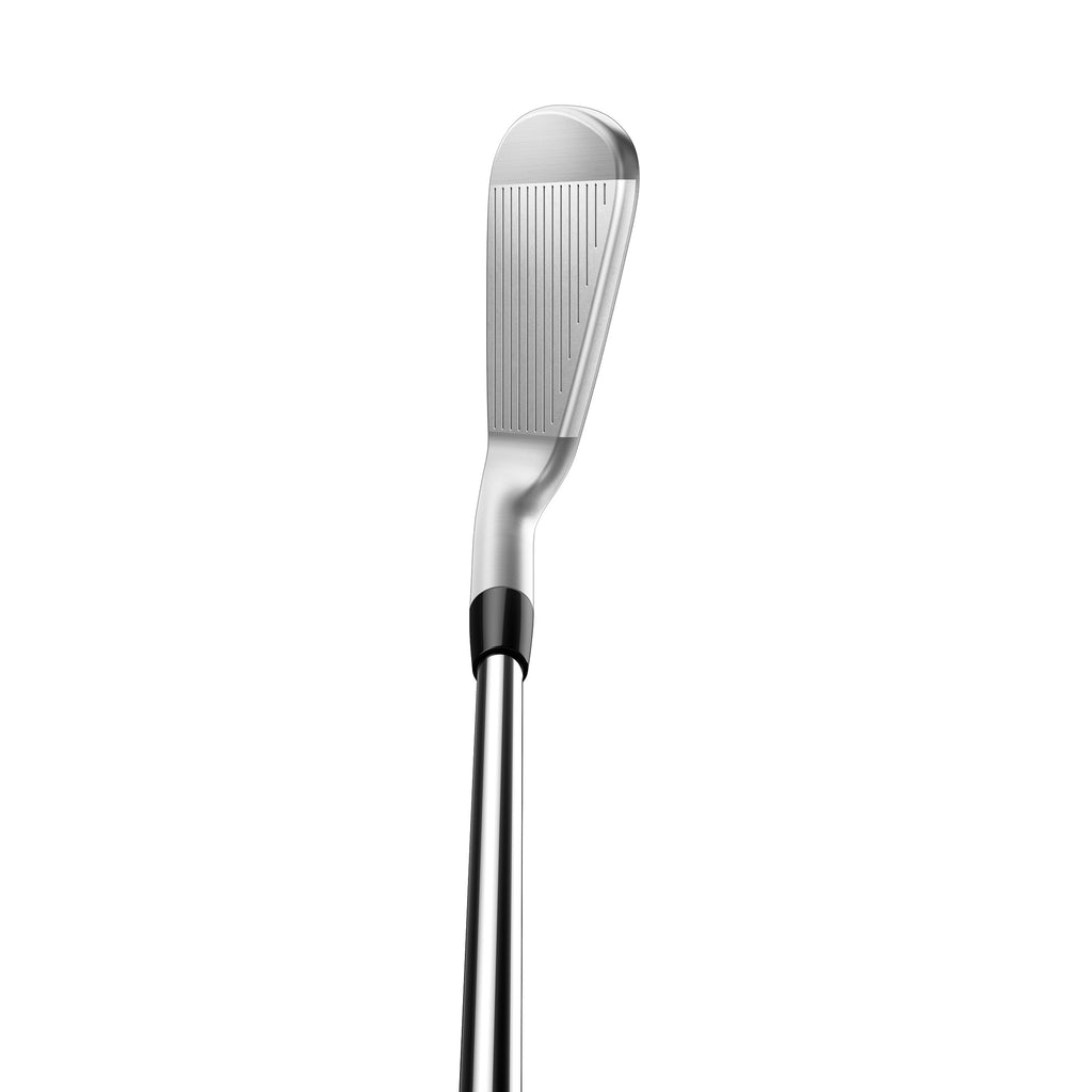 TaylorMade P770 Irons